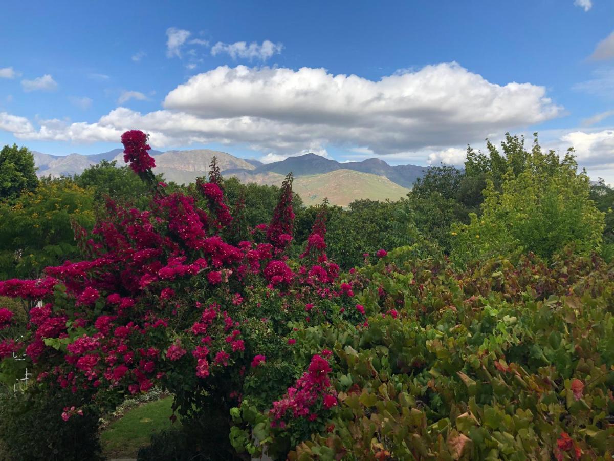 Alba House Guest House Paarl Eksteriør bilde